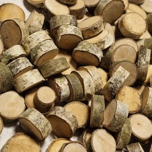Mini-tranches de bouleau avec écorce | 120 petites bûches rondes
