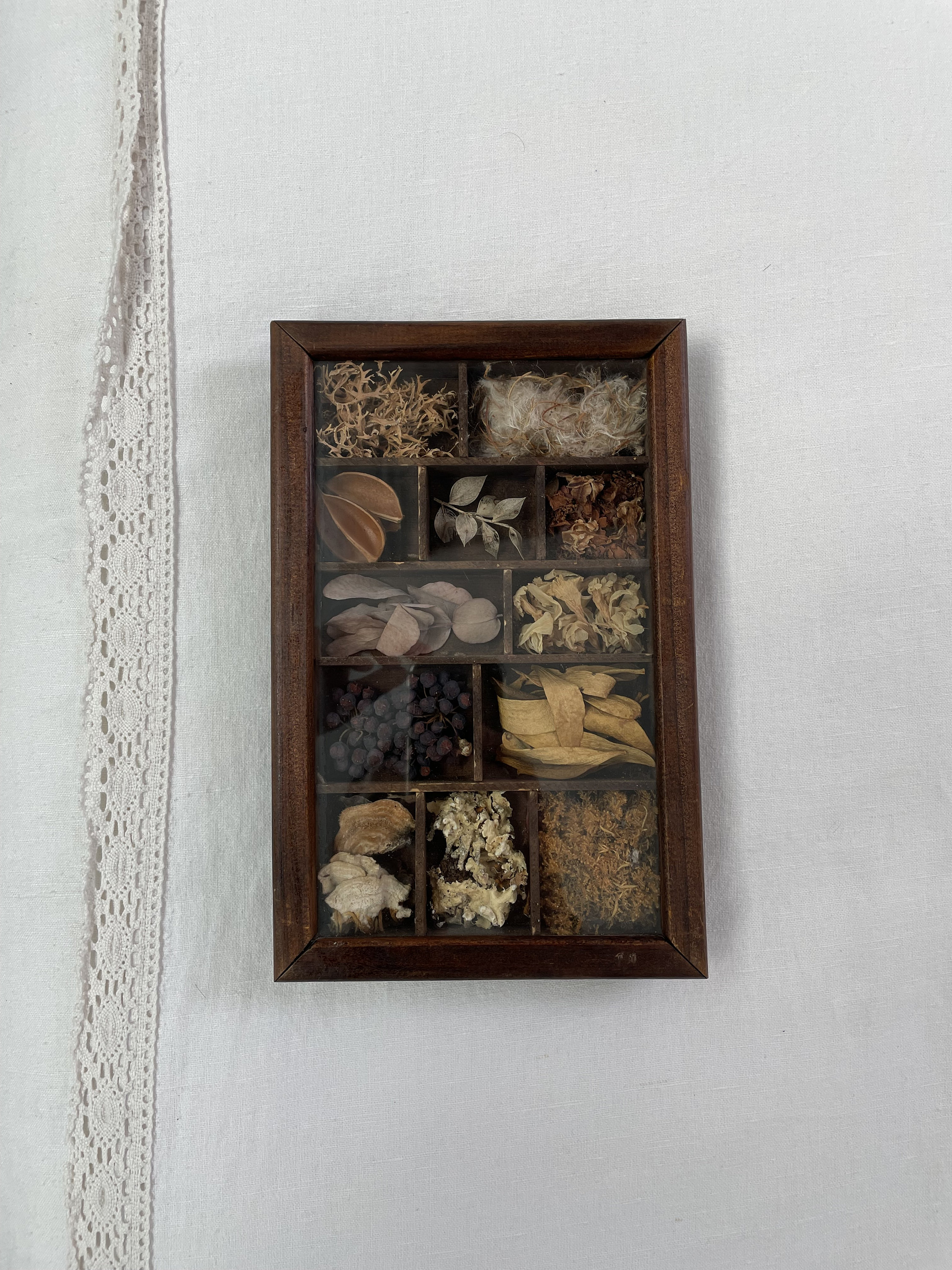 Composition de Végétaux et Fleurs Séchés - Cadre Ancien 12 Compartiments France