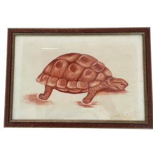 Antique sanguine drawing – Tortoise – signed Alain Jouffroy – 1940s – Framed animal drawing