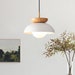 see more listings in the Pendant Light section