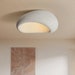 see more listings in the Ceiling Light section