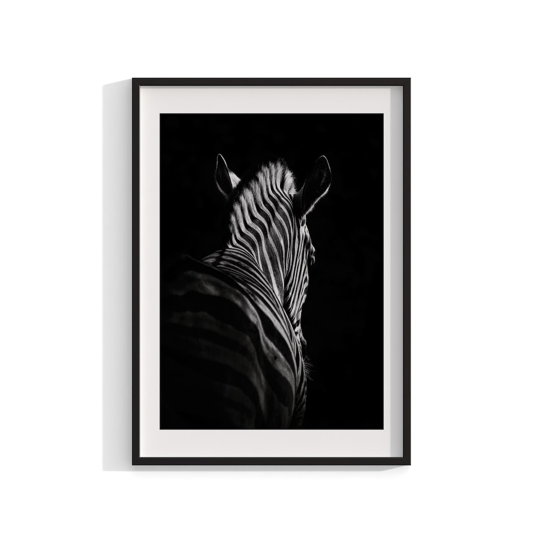 Zebra Art Print, Framed Wall Art, Black and White Animal Print ...
