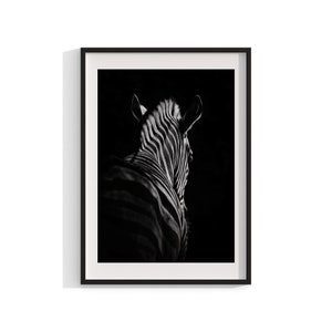 Zebra Art Print, Framed Wall Art, Black and White Animal Print , African Art , Safari Print, Animal Photography , Animal Print , 18x24 24x32