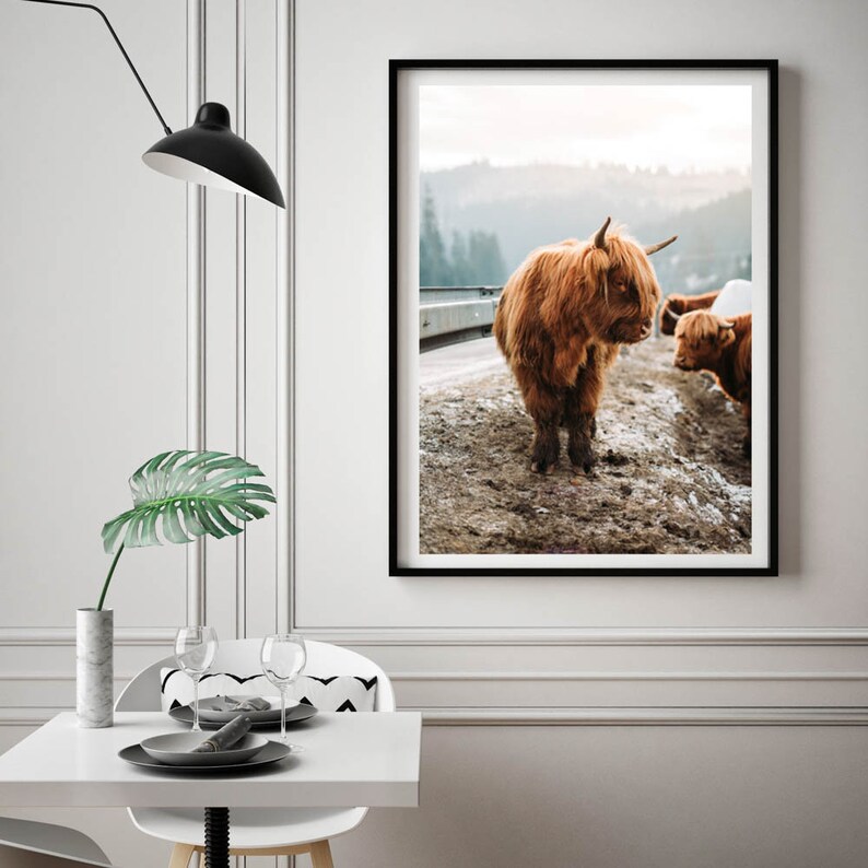 Buffalo Framed Print Animal Wall Art Nursery Room Decor Etsy