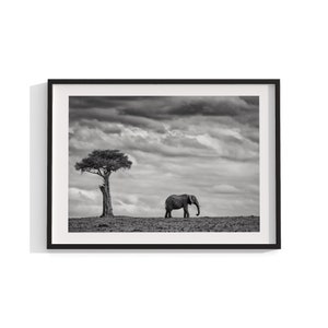 Elephant Fine Art Print, Framed Wall Art, African Wildlife Photography , Black and White Print, Kids Animal Print, 12x16 18x24 24x32