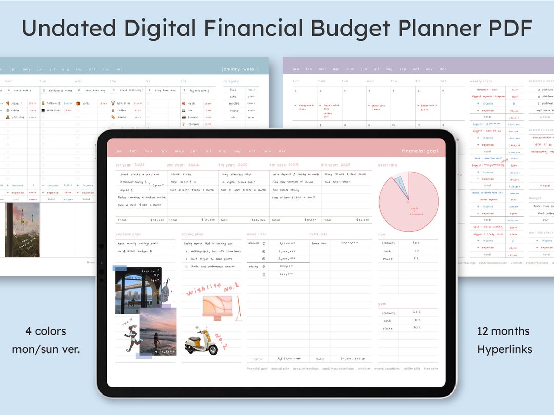 Budget Financial Planner PDF / Journal iPad Goodnotes Tablet Digital Diary / Personal Money ...