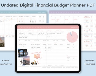 Budget Financial Planner PDF / journal ipad goodnotes tablet digital diary / personal money tracker / organizer book expenses weekly monthly