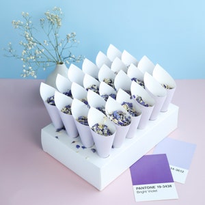 Coni di coriandoli lilla con supporto per coni di coriandoli / 24 coni di coriandoli e coriandoli biodegradabili (2 litri) Coriandoli per matrimoni, veri coriandoli di fiori