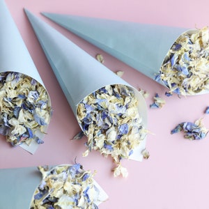 Coni di coriandoli blu e coriandoli biodegradabili / 10 coni di coriandoli blu per matrimonio e coriandoli di fiori ecologici (1 litro)
