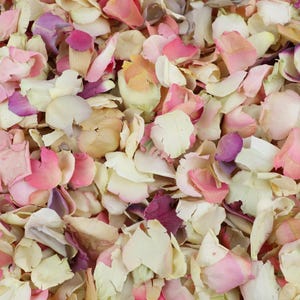 Petali di rosa secchi rosa pastello / 5 litri (40-50 ospiti) / Petali di rosa veri / Coriandoli di petali di rosa biodegradabili / Coriandoli di fiori veri