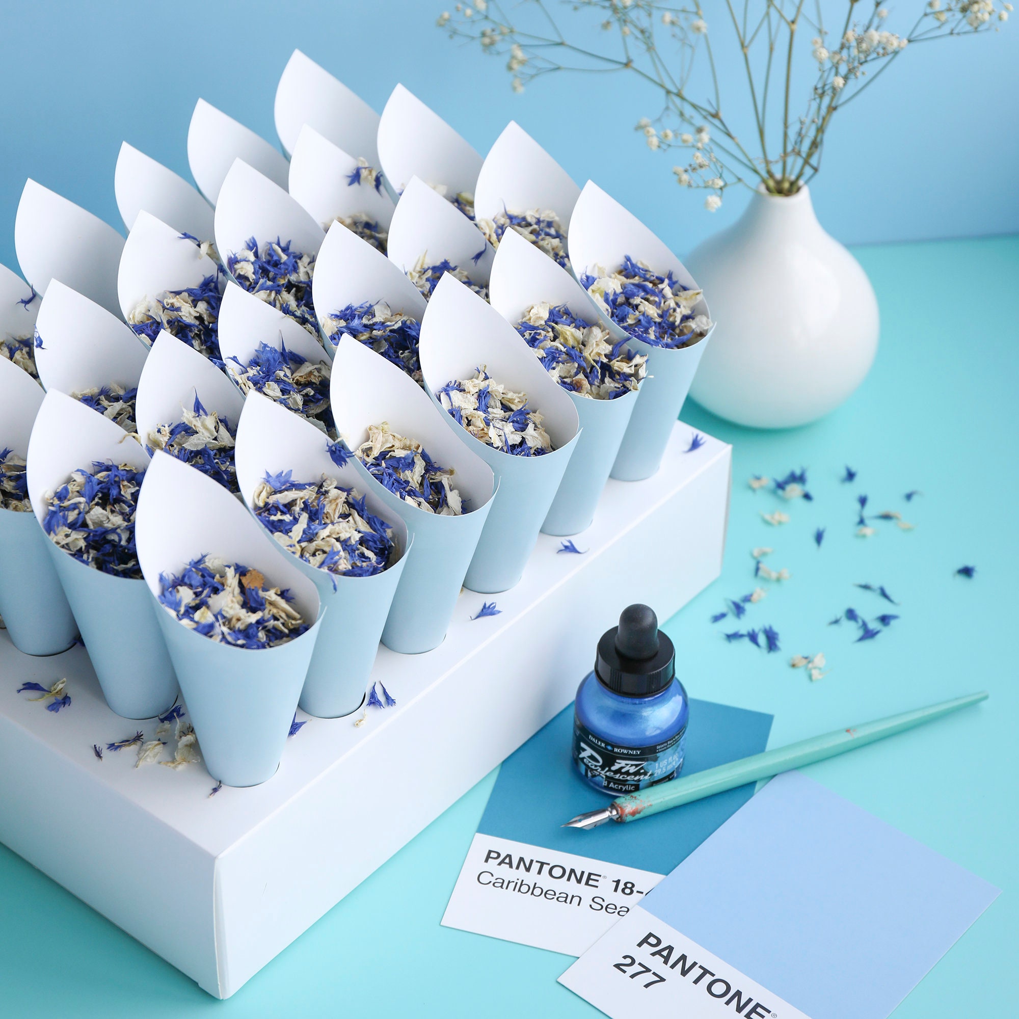 24 Blue Confetti Cones With Stand 100 Biodegradable Etsy UK