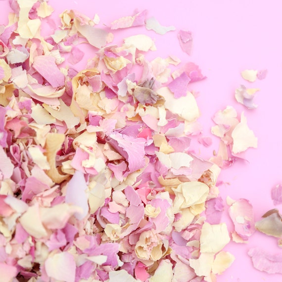 Pastel Biodegradable Wedding Confetti, Real Petal, Dried Flower