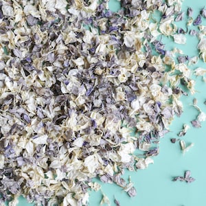 Confettis gris et ivoire | 1 litre (8-10 poignées) de confettis de fleurs biodégradables pour mariage | Mariages écologiques abordables