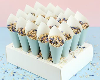 Könnte beinhalten: Eine weiße rechteckige Präsentationsbox mit zwanzig hellblauen Papierkegeln, die mit getrockneten Blütenblättern gefüllt sind. Die Blütenblätter haben eine Mischung aus Creme-, Beige- und leuchtenden Blautönen. Lose Blüten liegen um die Box.