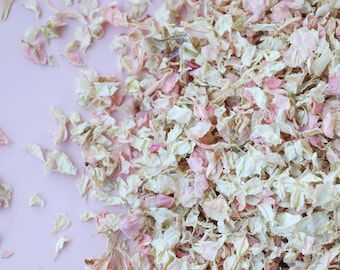 Ivory Natural Dried Flower petal for wedding throwing confetti 10-50 guests 