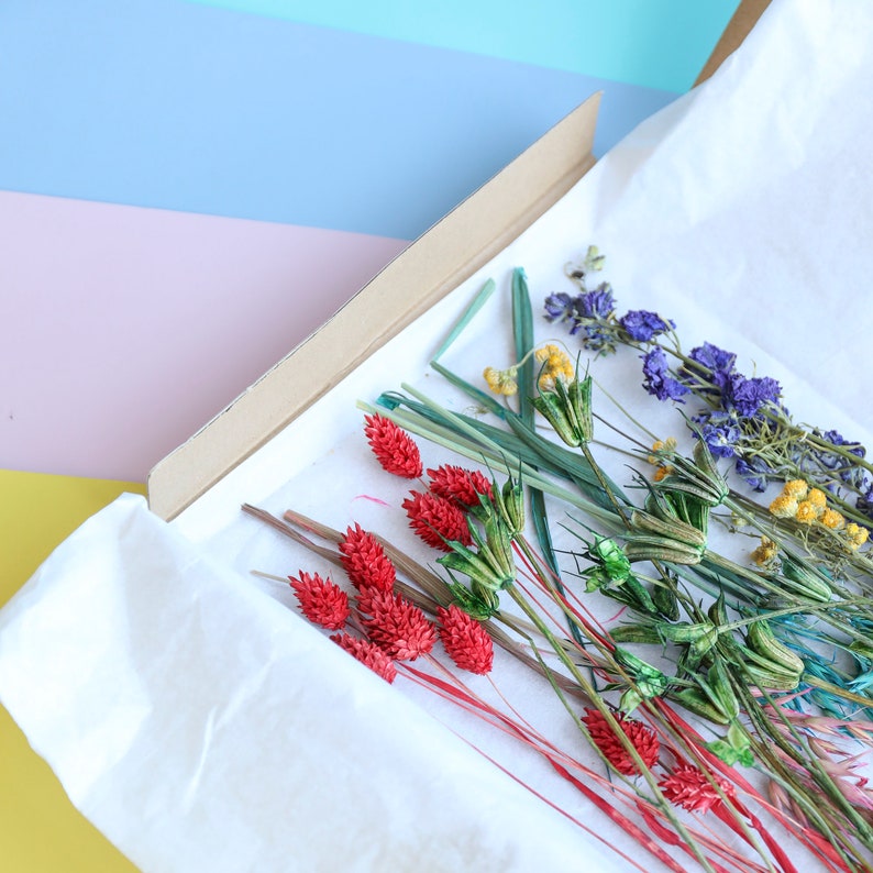 Rainbow Letterbox Bouquet Deliver Dried Flower Arrangement Etsy UK
