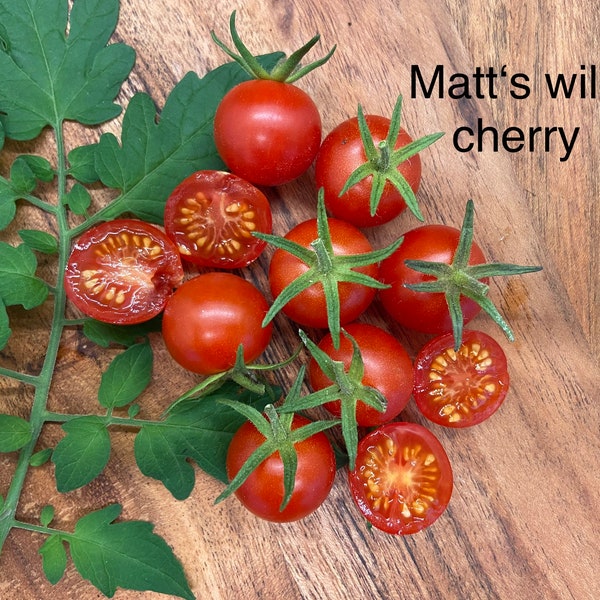 Matts wild cherry - Tomaten Samen