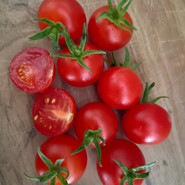 Mexikanischer Honig - Tomaten Samen