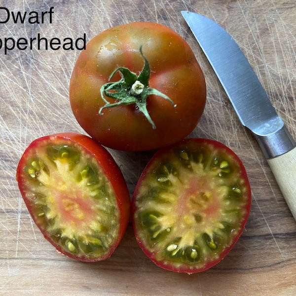 Dwarf Copperhead - Tomato Seeds