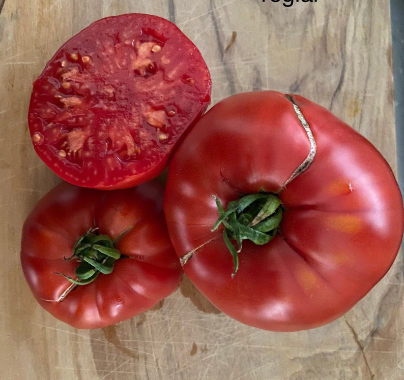 Pusta Kolosz Tomaten Samen - Etsy Österreich