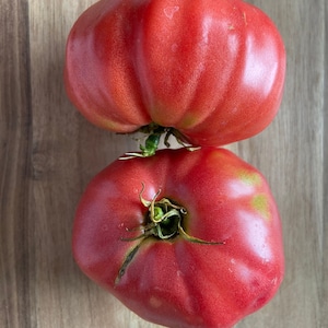 Nahuelbuta pink - tomato seeds