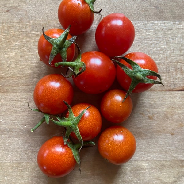 Bajaja - Tomaten Samen