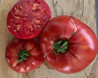 Fleur de reagir - graines de tomates