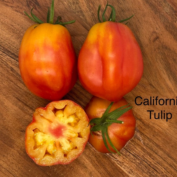 California Tulip - Tomato Seeds