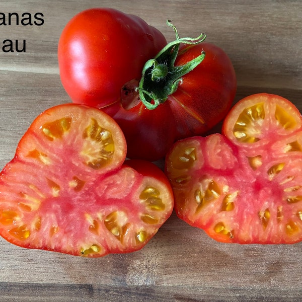 Ananas blau - Tomaten Samen