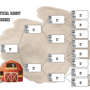 Rabbit Pedigree Instant PDF Download - Barn - Includes Bonus Breeding Log