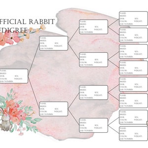 Rabbit Pedigree Instant PDF Download with Bonus Breeding Log (+Bonus Pedigree!)