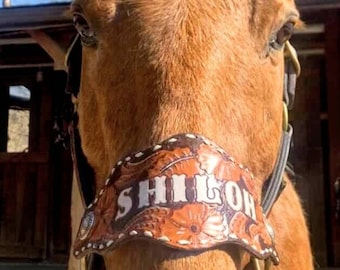 Custom Made Louis Vuitton LV Print Bronc Nose Halter