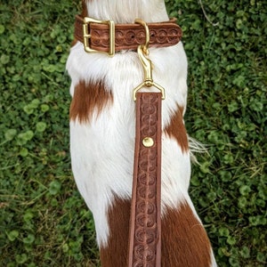 Collar and Leash Set/ Custom Leather Matching Set/ Tooled and Stamped