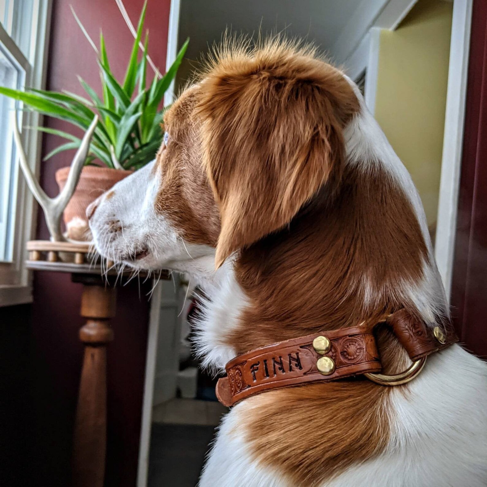 Custom Hunting Dog Leather Collar Center Ring Safety Collar Etsy