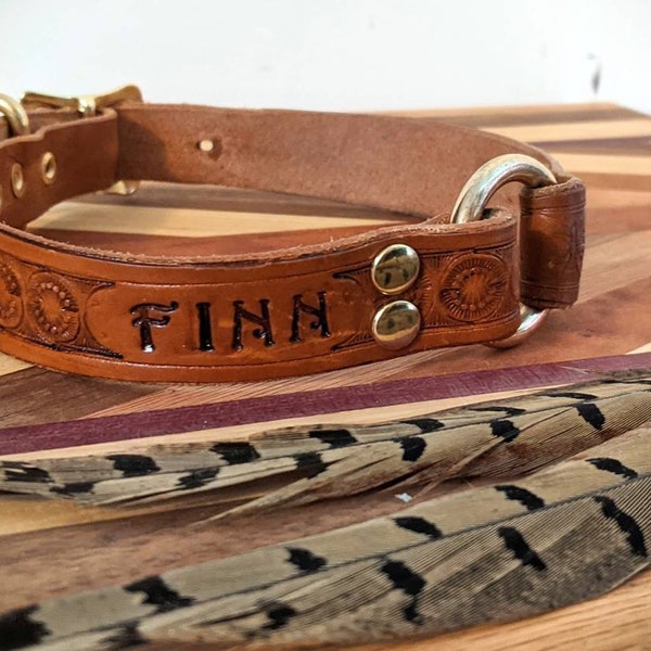 Hunting Dog Collars Etsy