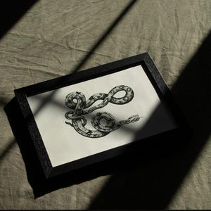 以下が含まれることがあります： 黒い枠に囲まれた、円形に巻かれたヘビの白黒のイラスト