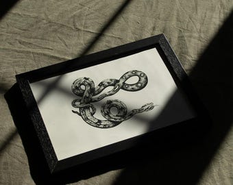 Python Snake Art Print | Hand-Illustrated Nature Illustration