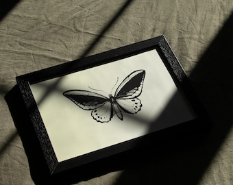 Priam's Birdwing Butterfly Art Print | Minimalist Nature Illustration