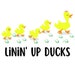 Linin' Up Ducks