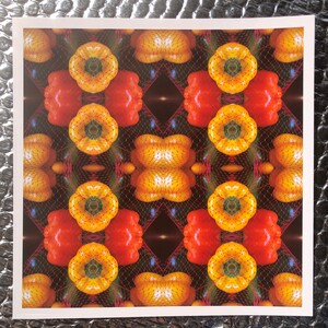 Net, Art Print