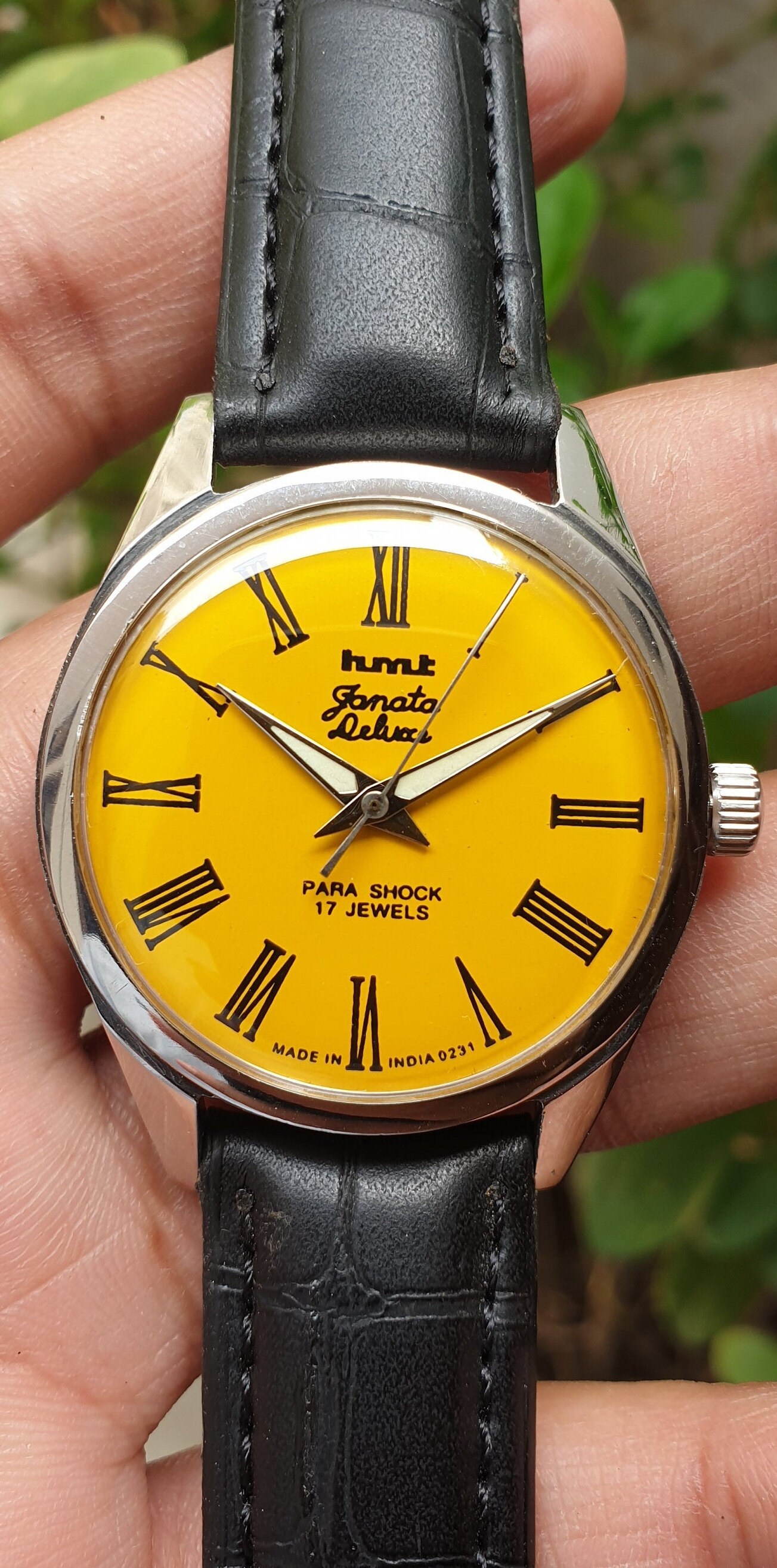 Vintage Hmt Janata Deluxe Roman Numerals Manual Winding 17 Jewels