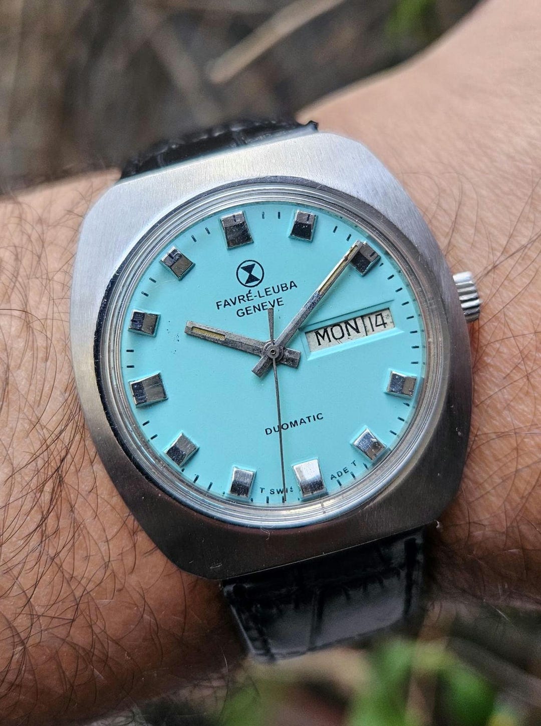 il_1080xN.6593380683_tegq.jpg