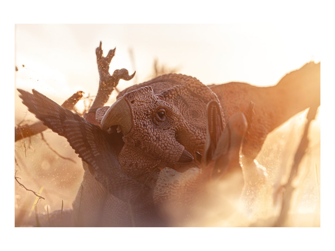 Protoceratops & Velociraptor fighting dinosaur art print | Etsy