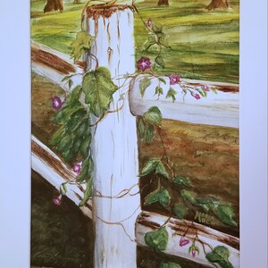 Morning Glories climbing fence post