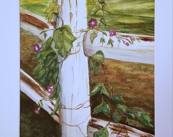 Morning Glories climbing fence post
