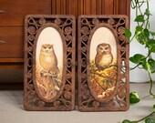 1977 Syroco Homeco Faux Wicker Wall Panel Frames with Owl Prints - Set of 2