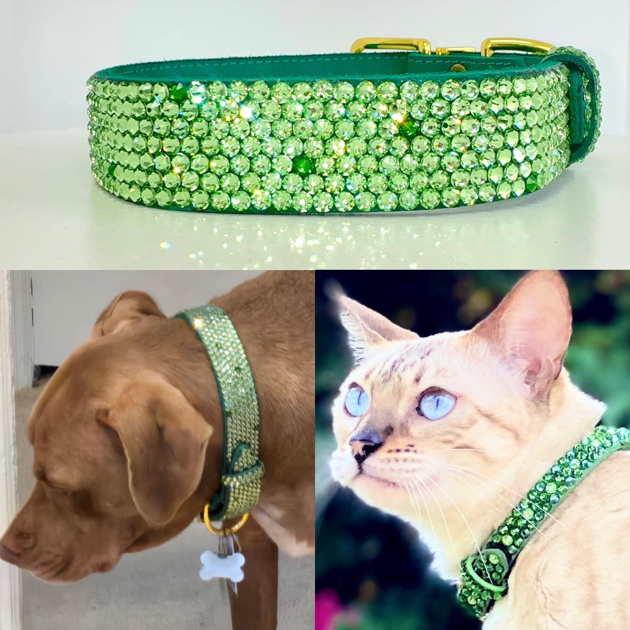 Strass-Hundehalsband Mit Leine – Verstellbar, PU-Leder, Für Kleine Hunde & Katzen (Größe L, Grün)