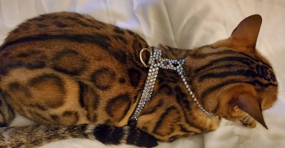 Harnais Noir De Chien Ou De Chat De Cristal De Swarovski Etsy
