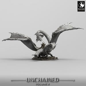 Dragon Bialmuth - Unchained - High Detail Resin 3D Printed Miniature - Dungeons and Dragons - Lord of the Print