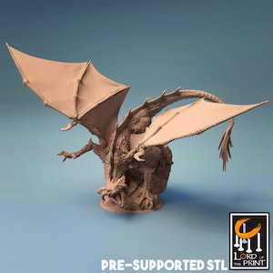 Young Black Dragon - High Detail Multi-part Miniature - Resin 3D Printed - Dungeons and Dragons - by the Lord of the Print